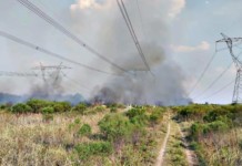 El incendio que dejo fuera de servicio Atucha - Foto: Secretaria de Energía de la Nación
