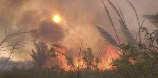 incendios que provocaron la caída del servicio eléctrico en medio país - Foto: NA