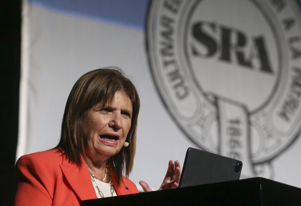 La presidenta del PRO Patricia Bullrich - Foto: NA