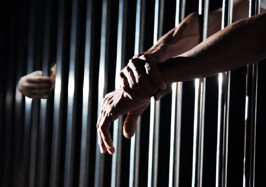 Jueces, asesores, psicólogos y cualquier profesional que libere a un asesino reincidente, debería pagar con su libertad la irresponsabilidad de sus acciones