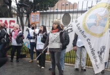 Se tensa el conflicto docente. El gobierno da por hecho la vigencia de la cautelar y ADOSAC confirmó el paro y espera ratificarlo en el Congreso del domingo Reclamo de los Docentes de Santa Cruz - Foto: Adosac Río Gallegos