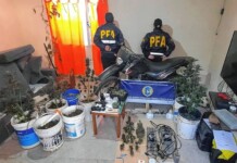 Operativo antidrogas con importantes allanamientos e incautación de droga y dinero en Caleta Olivia Operativo antidrogas con importantes allanamientos e incautación de droga y dinero en Caleta Olivia