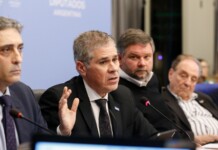 YPF defiende proyecto de Promoción del Gas Natural Licuado para fortalecer la cadena de valor El presidente de YPF, Pablo González en la Cámara de Diputados - Foto: Prensa HCDN
