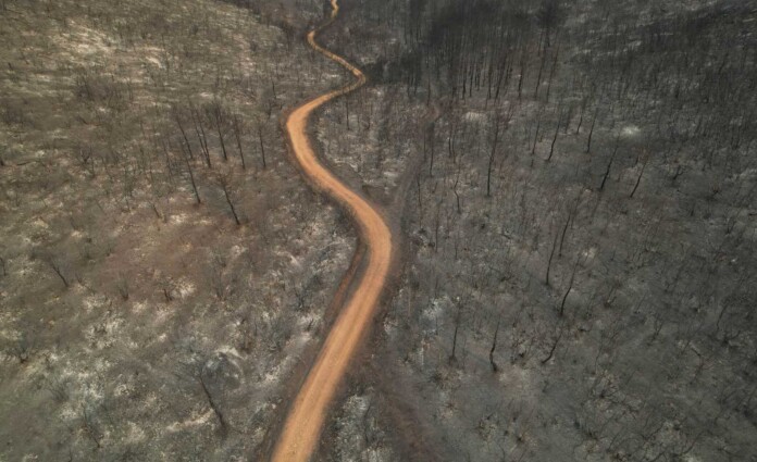 Devastador incendio forestal en Grecia - Foto: NA