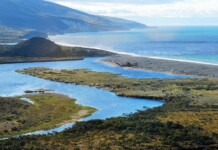 Avanza gestión del Área Natural Protegida Península Mitre Mantienen búsqueda de un montañista que desapareció hace 18 días