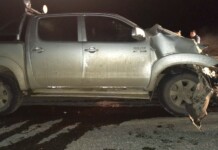 Camioneta chocó en la ruta con tres caballos Camioneta chocó en la ruta con tres caballos