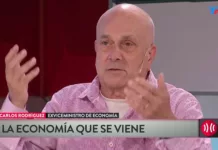 Exviceministro de Economía advierte sobre el ajuste fiscal en cualquier plan económico Carlos Rodríguez asesor económico de Javier Milei