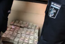 Julio de Vido y Ricardo Echegaray conocerán el veredicto en Caso de la Valija de 800 mil Dólares La valija con los dólares del empresario venezolano Alejandro Antonini Wilson - Foto: NA