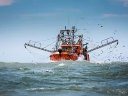 La Flota Amarilla de Chubut