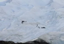 Caminata sobre el Glaciar Perito Moreno - Foto: OPI Santa Cruz/Francisco Muñoz