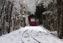 Se construirá la estación Parque Nacional Tierra del Fuego El tren del fin del mundo en Ushuaia -