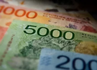 Gobierno fueguino anunció pago de salarios para el próximo sábado Pesos argentinos -