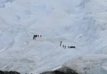 Impacto de los feriados de junio en el turismo Caminata sobre el Glaciar Perito Moreno - Foto: OPI Santa Cruz/Francisco Muñoz