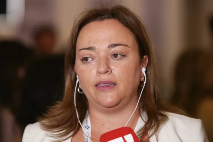 La presidenta de la Cámara de Diputados, Cecilia Moreau - Foto: NA