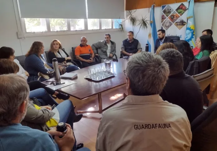 Reunión gubernamental en Chubut para reforzar medidas preventivas ante la gripe aviar