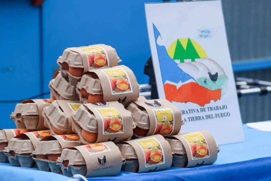 Presentaron la primera cooperativa avícola en Tierra del Fuego