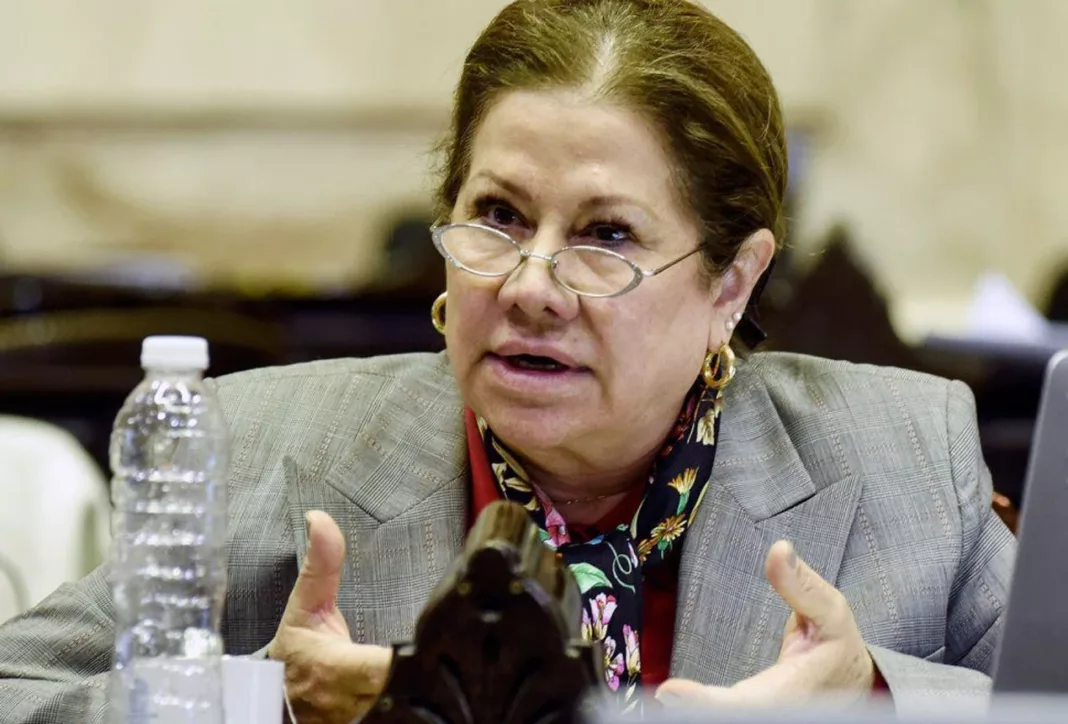 La diputada Graciela Camaño de Consenso Federal - Foto: