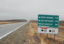 Murió tras ser atropellado por una camioneta en Perito Moreno Ruta provincial Nº43 en Santa Cruz - Foto: OPI Santa Cruz/Francisco Muñoz