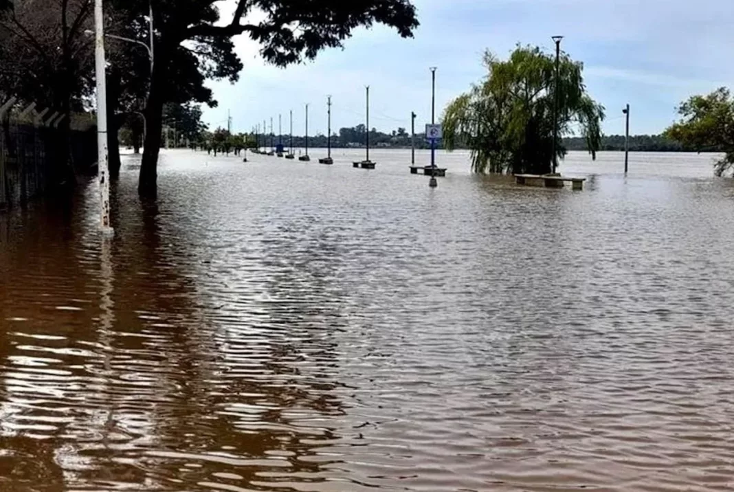 Inundaciones en Concordia piden evacuar miles de cabezas de ganado