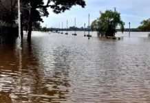 Inundaciones en Concordia piden evacuar miles de cabezas de ganado Inundaciones en Concordia piden evacuar miles de cabezas de ganado