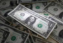 Dólar, Dólares, Dólar blue - Foto: NA