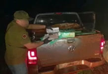 Misiones encuentran dos toneladas de marihuana en camionetas abandonadas