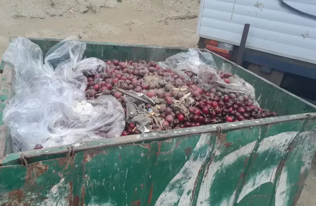 Decomisan 480 kilos de cerezas en Caleta Olivia