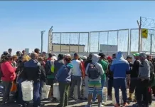 Suspenden la temporada de langostino por una protesta gremial