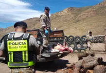 Incautaron corderos faenados en El Calafate