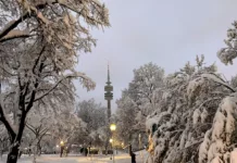 Cancelaciones masivas en Múnich por fuertes nevadas: vuelos, trenes y eventos deportivos afectados Cancelaciones masivas en Múnich por fuertes nevadas: vuelos, trenes y eventos deportivos afectados - Foto: NA