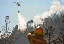 Sigue el trabajo para combatir el incendio en el Parque Nacional Los Alerces