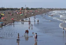 Una niña fue atacada por un lobo marino en Playa Unión