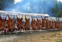 Cholila achica gastos y confirmó la Fiesta Nacional del Asado Cholila achica gastos y confirmó la Fiesta Nacional del Asado
