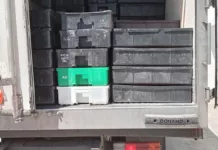 Incautan 6.100 kilos de langostinos en exitoso operativo conjunto Incautan 6.100 kilos de langostinos en exitoso operativo conjunto