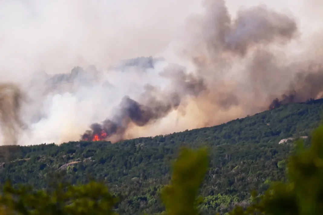 Intendente del Parque Nacional Los Alerces dijo que el incendio fue intencional