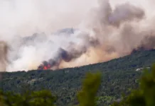 Intendente del Parque Nacional Los Alerces dijo que el incendio fue intencional Intendente del Parque Nacional Los Alerces dijo que el incendio fue intencional