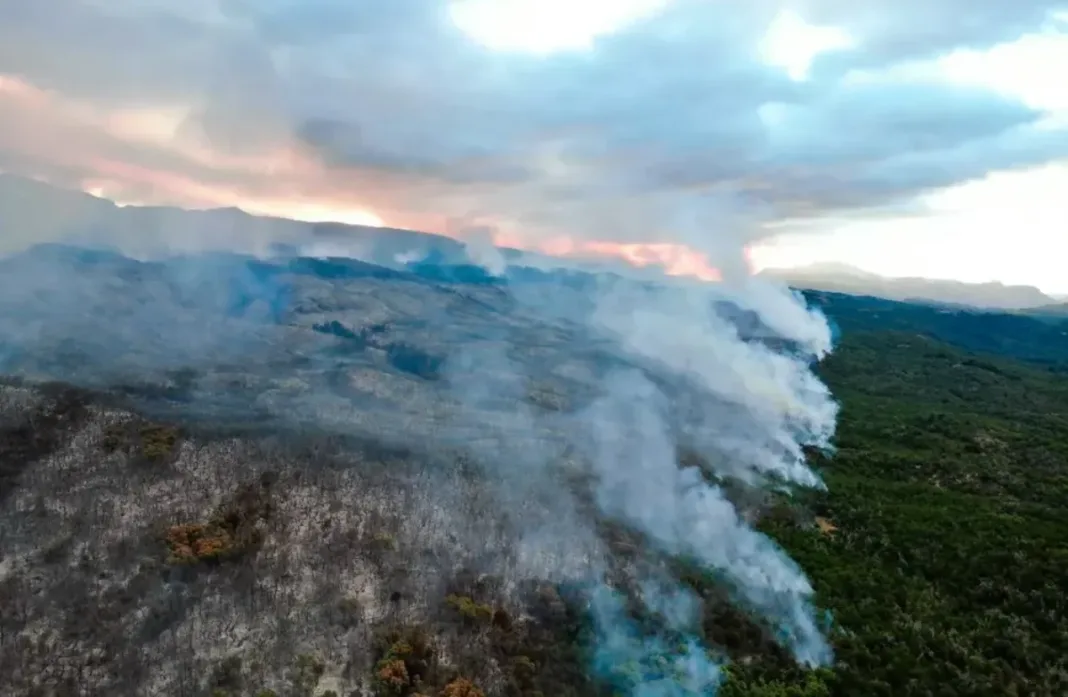 Incendio fuera de control en Parque Nacional Los Alerces