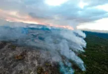 Incendio fuera de control en Parque Nacional Los Alerces Incendio fuera de control en Parque Nacional Los Alerces