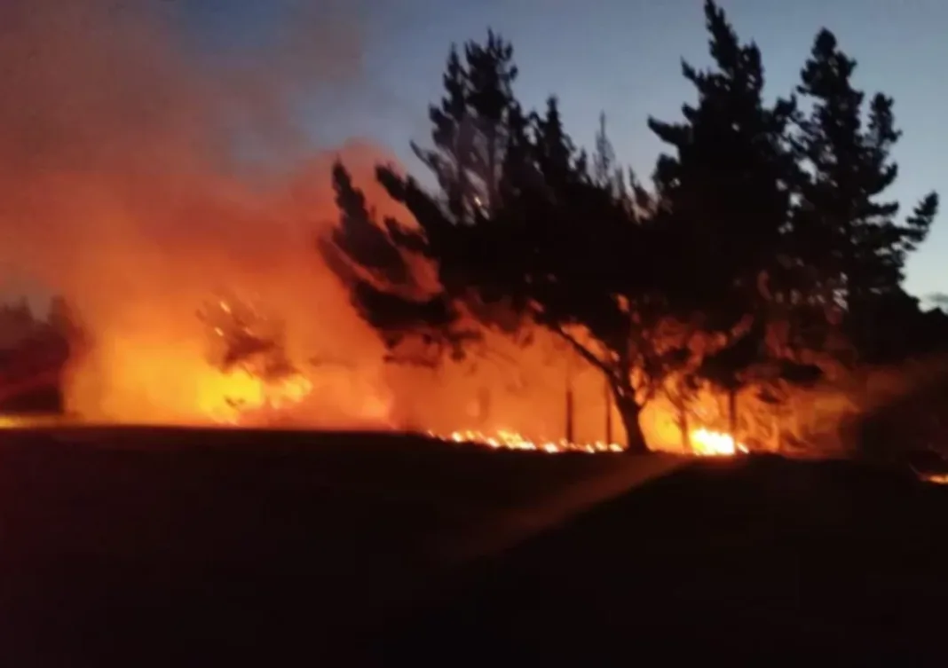Bomberos sofocaron incendio forestal en ruta provincial 43