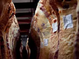 Precio carne - Foto: NA