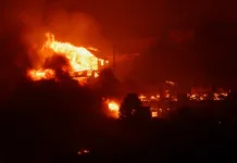 Tragedia en Valparaíso: Devastadores incendios forestales azotan la región Tragedia en Valparaíso: Devastadores incendios forestales azotan la región - Foto: NA