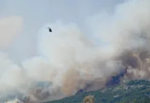 Los vientos complican el fuego en Los Alerces Incendio en el Parque Nacional "Los Alerces" en Chubut - Foto: Gobierno de Chubut