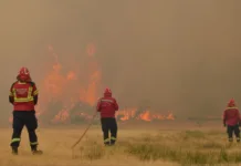 Unas 200 hectáreas se incendiaron en el Parque Nacional Los Alerces Continúa la batalla contra incendio en Parque Nacional Los Alerces - Foto: Gobierno de Chubut