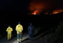 Más de 2.400 hectáreas ya consumió el fuego en Parque Nacional Los Alerces Más de 2.400 hectáreas ya consumió el fuego en Parque Nacional Los Alerces