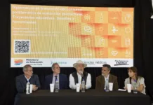 En Comodoro Rivadavia presentaron la Diplomatura en “Prevención de consumos problemáticos” En Comodoro Rivadavia presentaron la Diplomatura en “Prevención de consumos problemáticos”