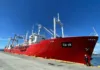 Hallaron pesca ilegal de merluza negra en buques de bandera china