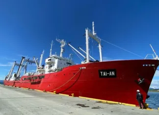 Hallaron pesca ilegal de merluza negra en buques de bandera china
