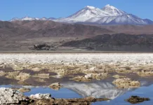 Chile apunta a la expansión del sector del litio con nuevos proyectos para el 2026