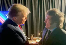 Donald Trump elogió a Javier Milei - Foto: NA