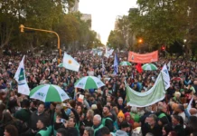 Sindicatos estatales movilizados contra “agresiones” al Estado y derechos laborales Enorme marcha universitaria colmó la Plaza de Mayo - Foto: Na